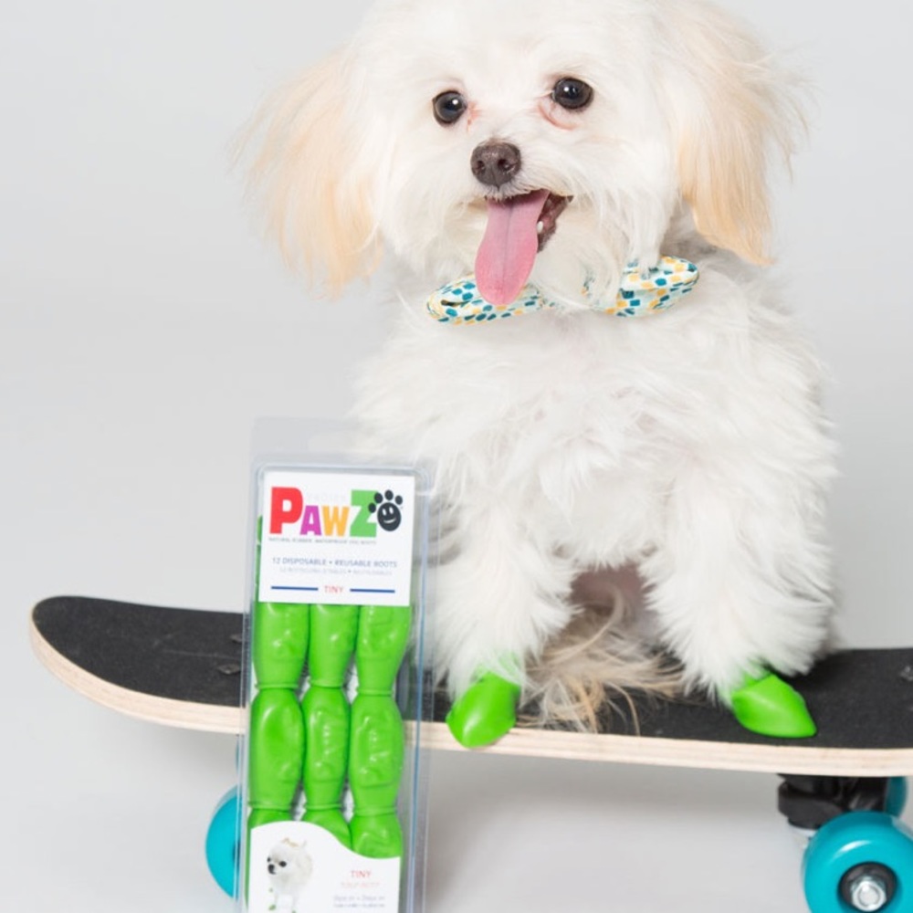 Pawz Dog shoe Accessories
